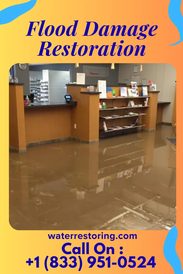 Flood Damage Restoration in Schneider, IN