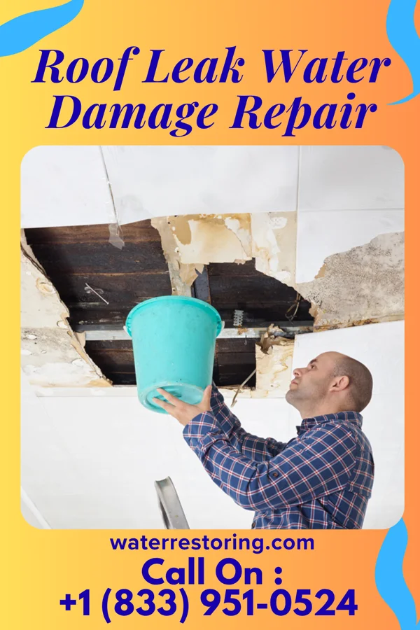 Roof Leak Water Damage Repair in Schneider, IN