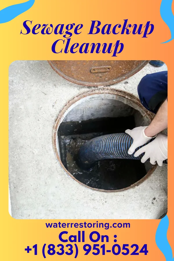 Sewage Backup Cleanup in Schneider, IN