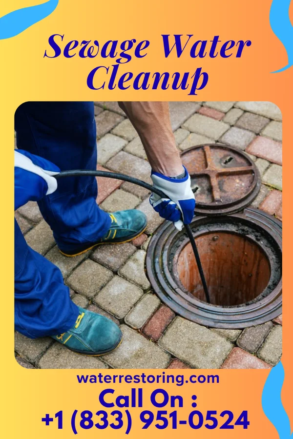 Sewage Water Cleanup in Schneider, IN